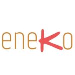 Hidalgo Eneko Wordmark favIcon